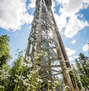Urenkopfturm auf dem Haslacher Hausberg