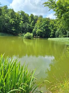 Foto von andr55 entlang der Tour