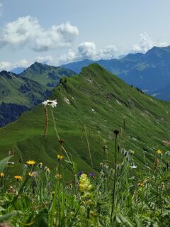Photo de Ineswanki le long du parcours