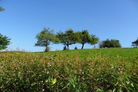 Landschaft am Weg