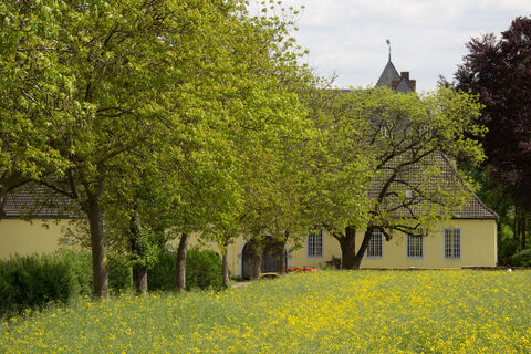Schloss, Alfter