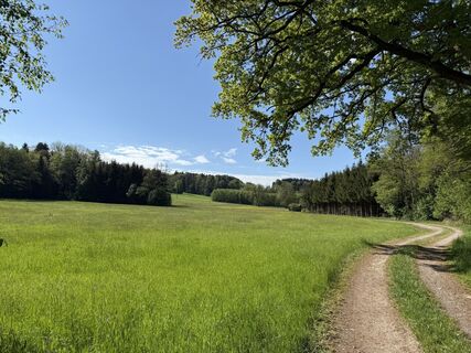 Fotografie z Streichert na trase