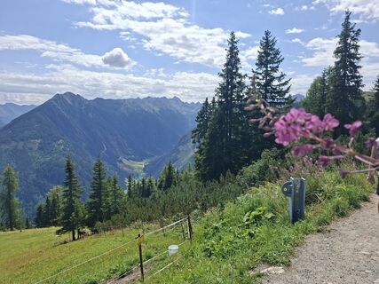 Photo de Franziska Mosebach le long du parcours