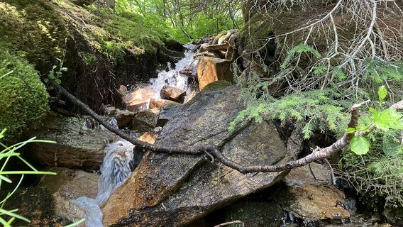 Foto von Marius Trompetter entlang der Tour