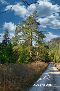 Durch das Hochmoor