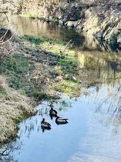 Zdjęcie z Kellner Heidi wzdłuż trasy