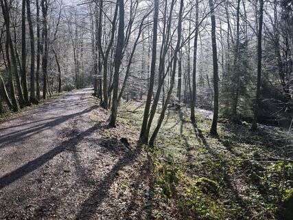 Fotografie z Björn Heun na trase