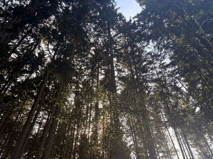 Foto de Nina Astleitner a lo largo del recorrido