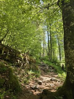 Fotografia z Noreen (NoKe) na trase