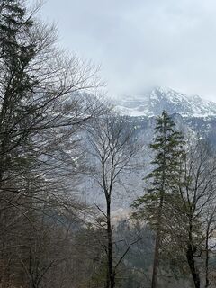 Fotografija s spletne strani Julia Wimmer 4 na poti