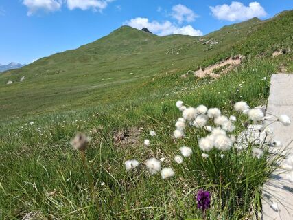 Foto von Stefan38 entlang der Tour