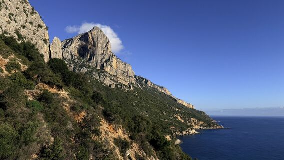 Photo de Marta Żebrowska le long du parcours
