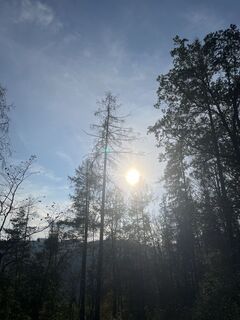 Foto von Lilith P entlang der Tour
