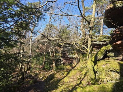 Foto von Michel Kennel entlang der Tour