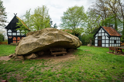 Großer Stein Tonnenheide