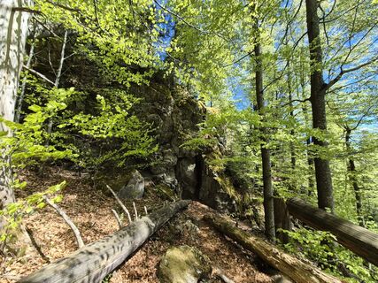 Foto von Susann Herfurth entlang der Tour
