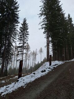 Foto da Dagmar Hofer lungo il tour