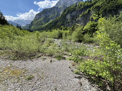 Fotografija s spletne strani Dominik Wymann na poti