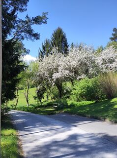 Foto von katrin.ecker entlang der Tour
