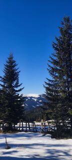 Fotografia z Diana Croitoru na trase