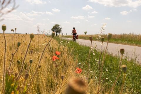 Entlang auf Weinviertler Nebenstraßen,