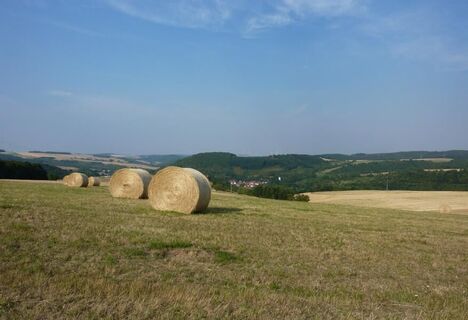 Blick ins "Nordpfälzer Land".