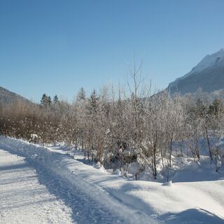 Wintertraum in Inzell