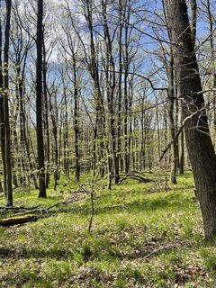 Foto de Bacskai János a lo largo del recorrido