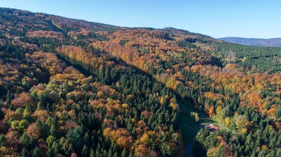 Indian Summer am Voithenberg