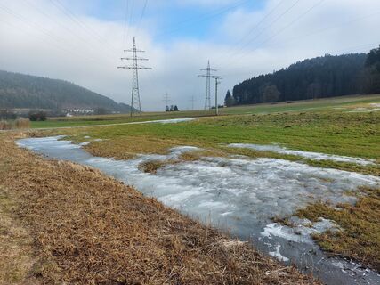 Foto da Sabrina Hackel lungo il tour