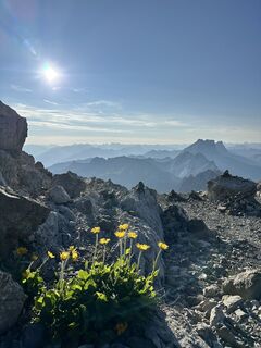 Fotografie z Alessio Chesani na trase