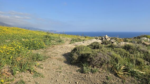 Zdjęcie z Katja Senkel wzdłuż trasy