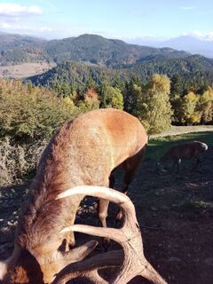 Photo from Wohlmuther along the tour