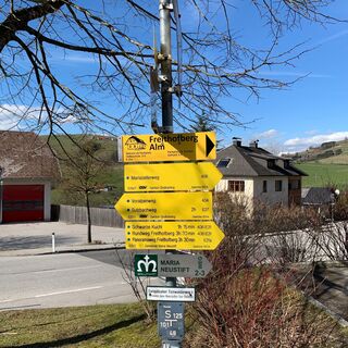 natur.Bank.wege - Freithofberg/Freithofberg Alm