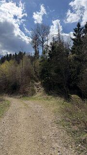 Photo de Zsolt Kozsla le long du parcours