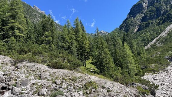 Photo de Pezzotta le long du parcours