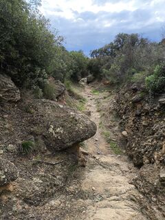 Foto de CPQS a lo largo del recorrido