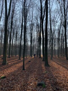 Ohligser Heide im Winter