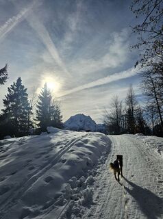 Foto von Sime Sime entlang der Tour