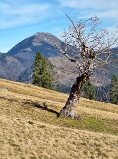 Foto von Mimi entlang der Tour