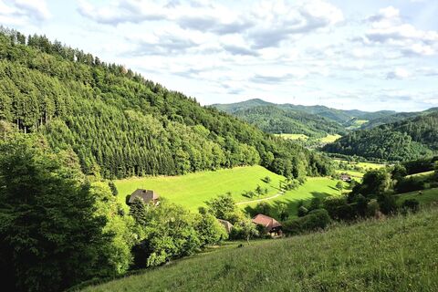Ausblick im Gechbach
