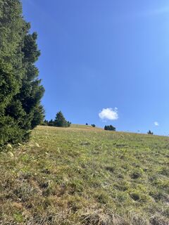 Fotografie z Michiel Timpers na trase