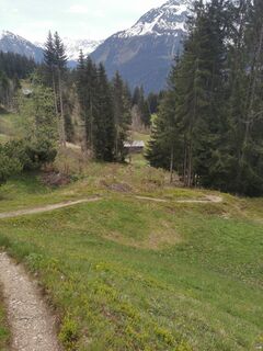 Fotografia z Waldläufer na trase