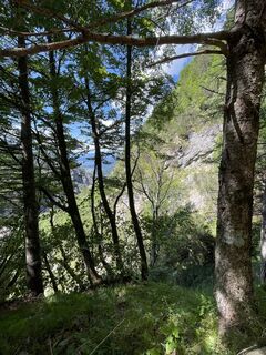 Photo de Markus Barthuber le long du parcours