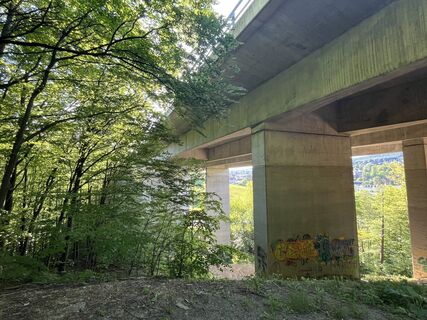 Foto de MichiRis a lo largo del recorrido