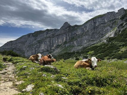 Photo from Philipp Eberharter 1 along the tour
