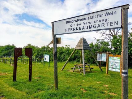 Ehret den Sock-Wanderweg