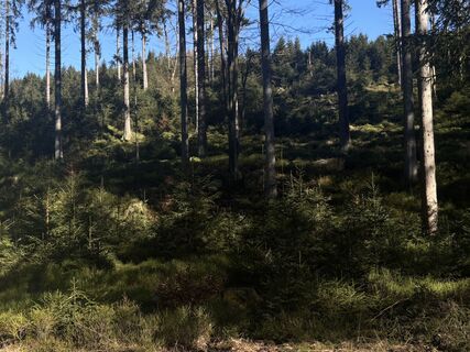 Photo de Gabrielle De Brabanter le long du parcours