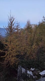 Photo de Klementina Gartner le long du parcours