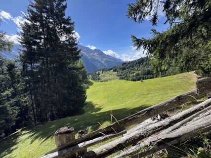 Foto von Jasper entlang der Tour